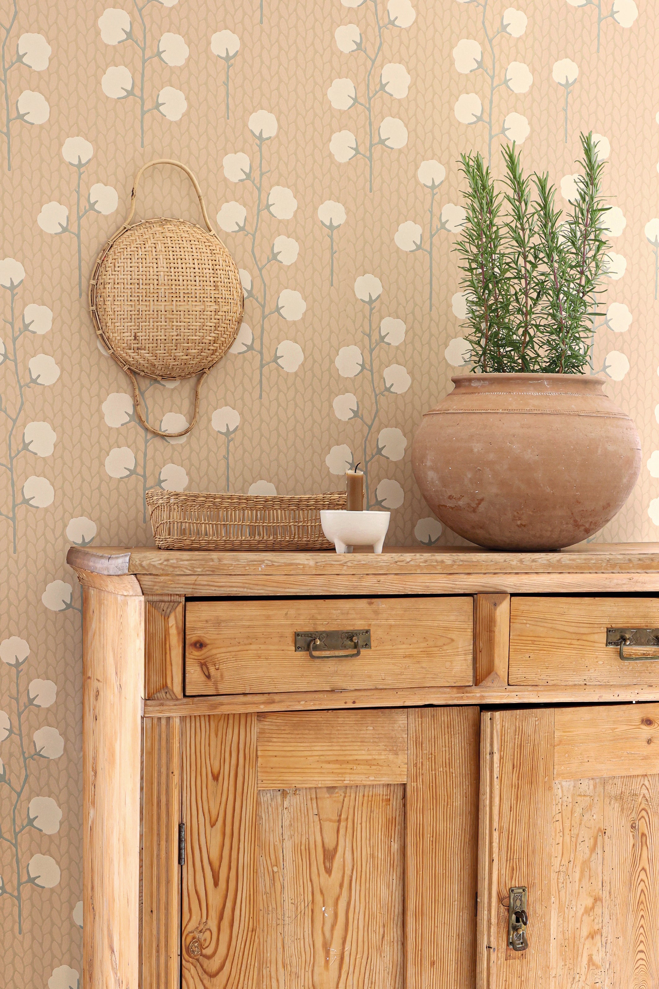 Majvillan - Sweet Cotton Desert rose