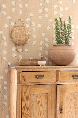 Majvillan - Sweet Cotton Desert rose