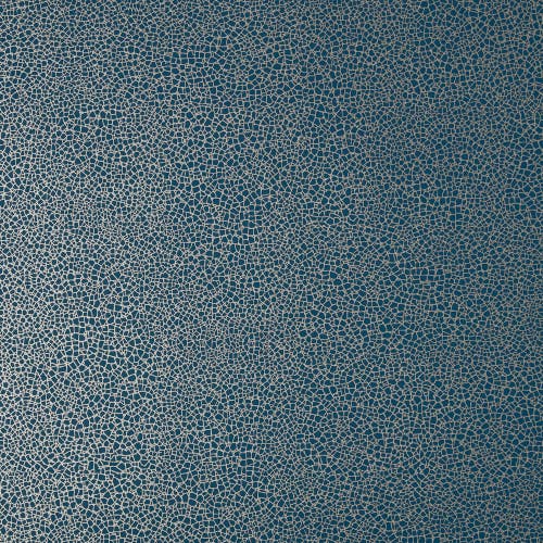 Carma - Emile NW Elodie