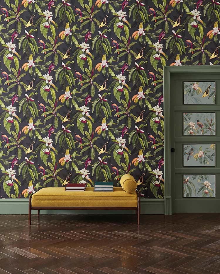 Michelia Empyrea Michelia Charocal