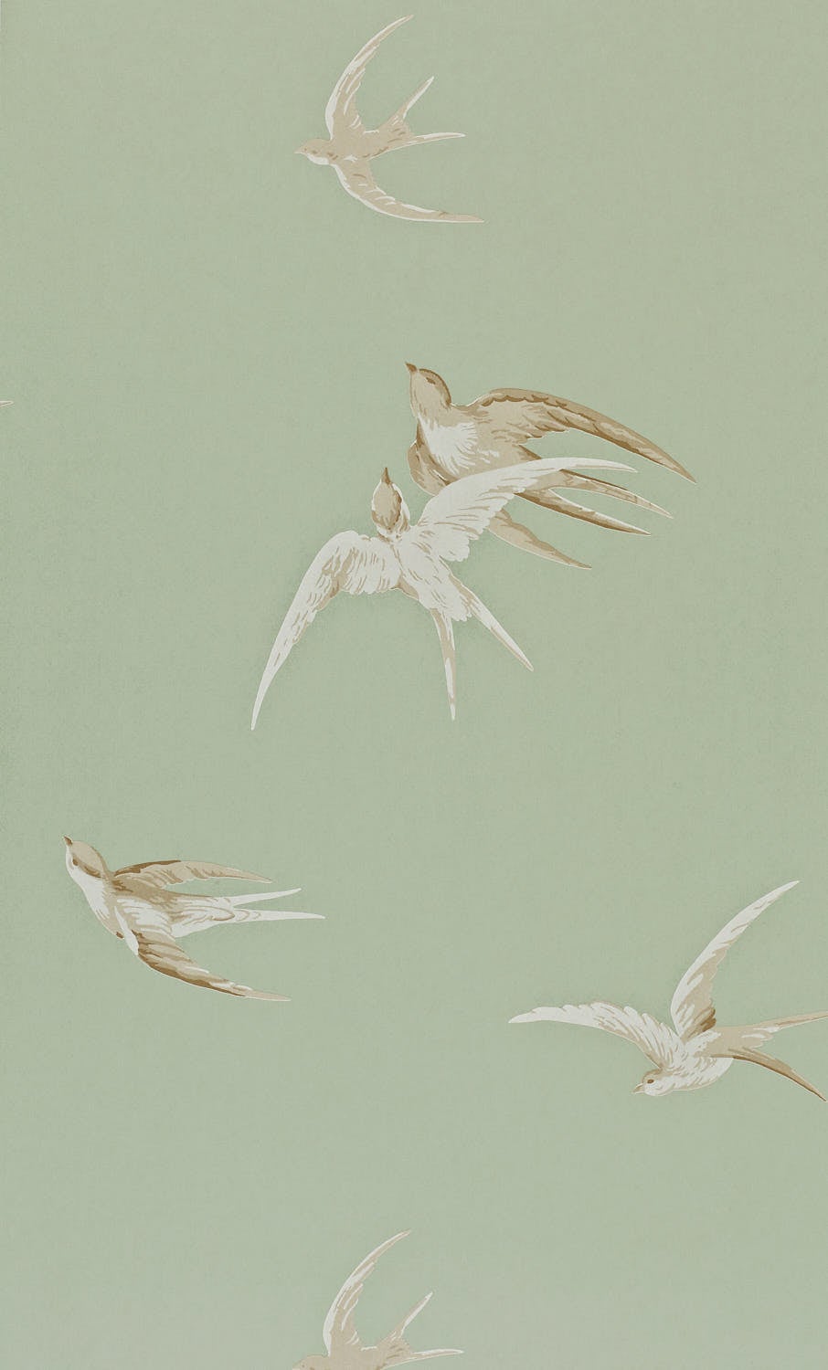 Sanderson - Swallows Pebble Sanderson One Sixty Wallp