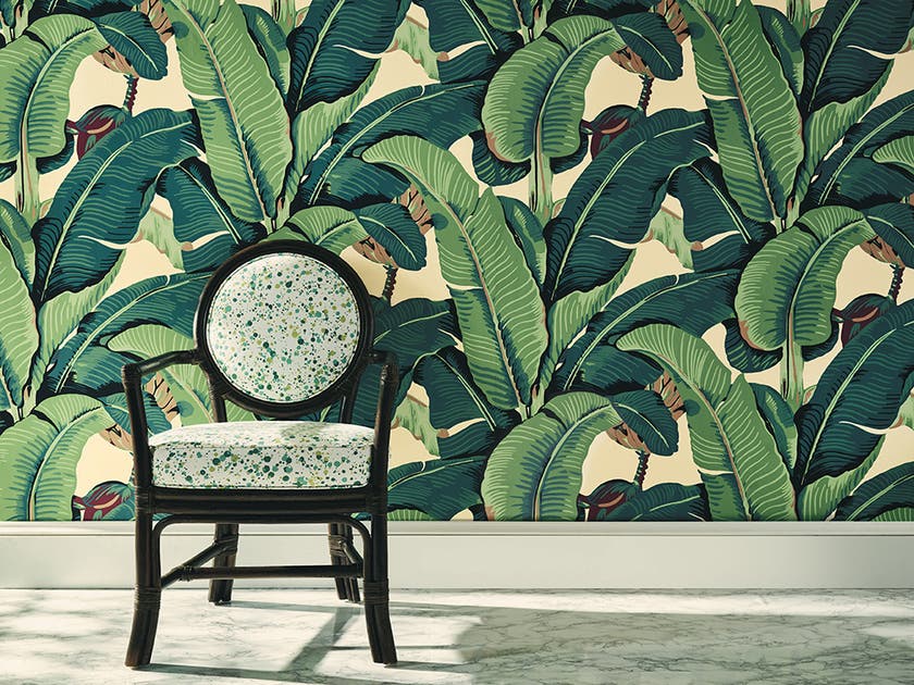 Jannelli & Volpi - Hinson Palm