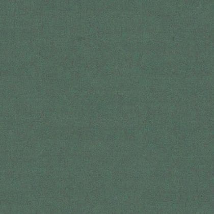 EMPREINTE VERT CANOPEE EMPREINTE