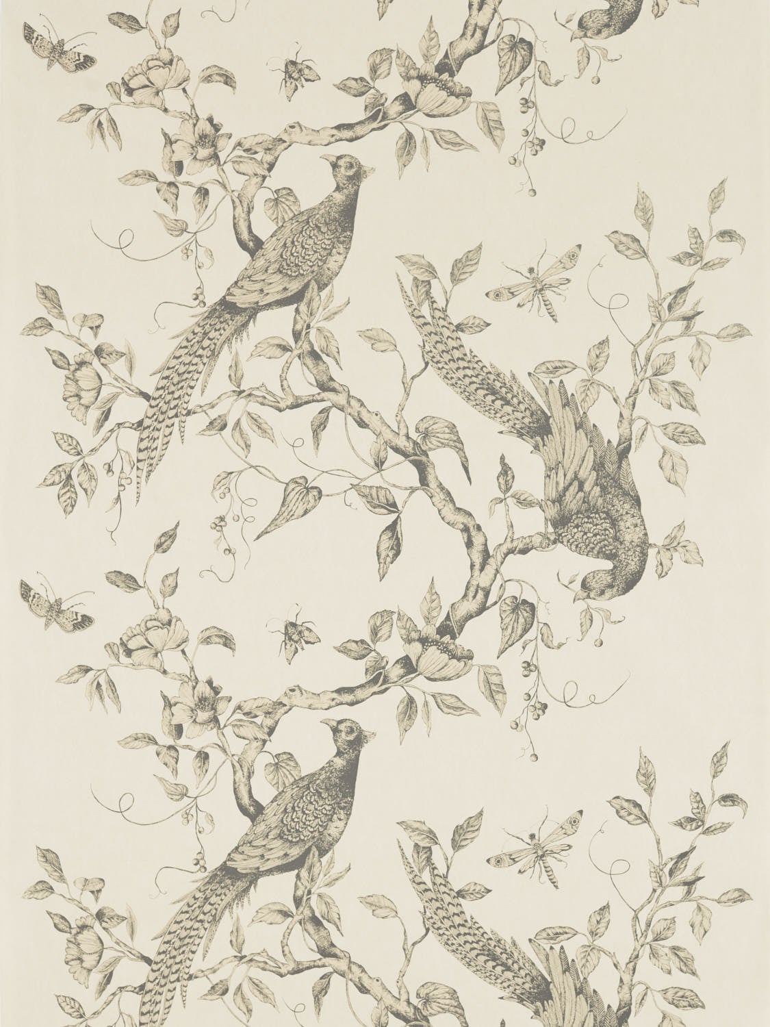 Zoffany - Darnley Snow Darnley Wallpapers