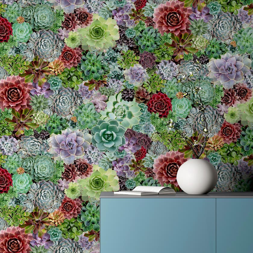Succulent Living Wall Multi
