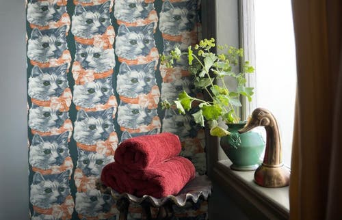 Crazy Cat Lady LB1702