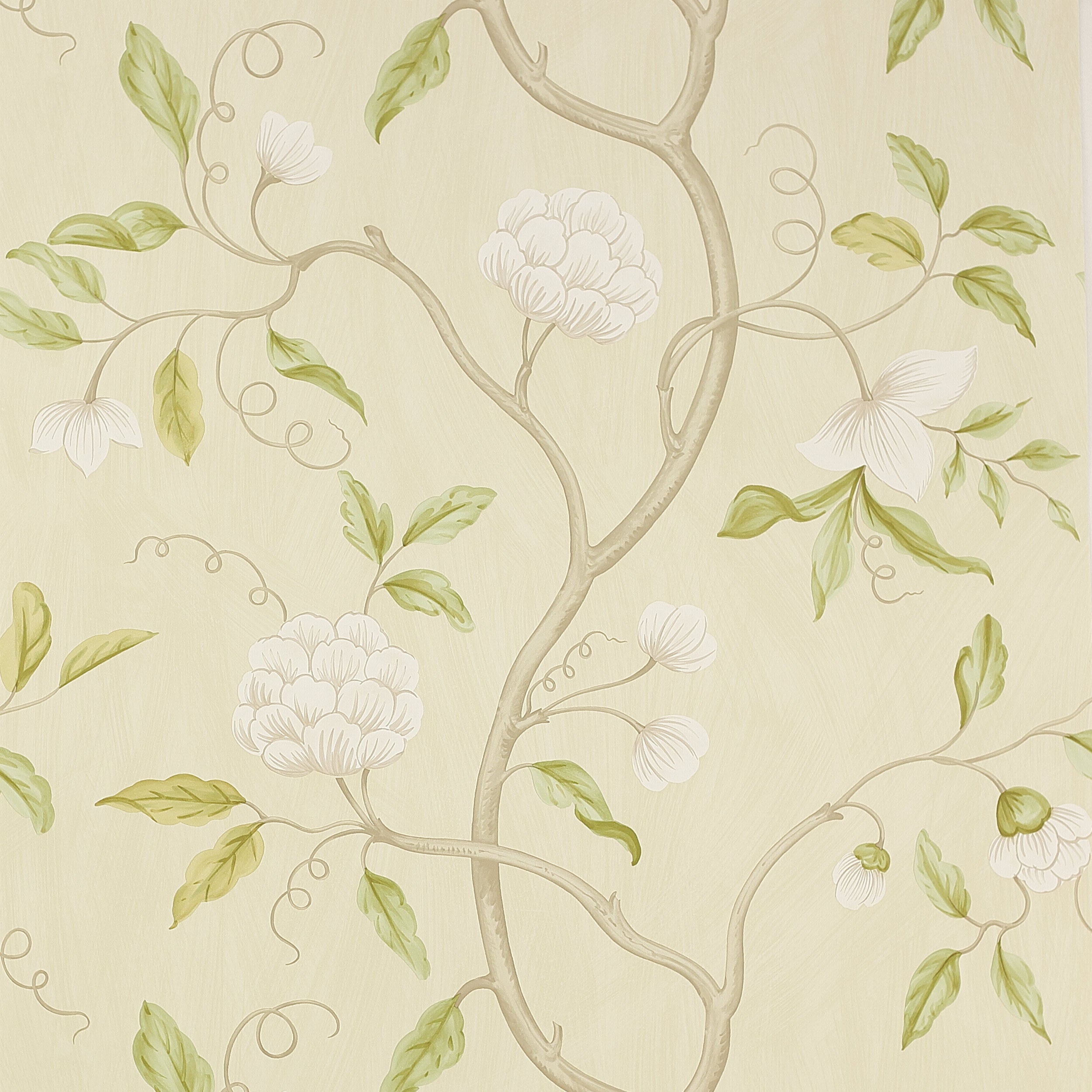 Colefax and Fowler - Snow Tree Ivory