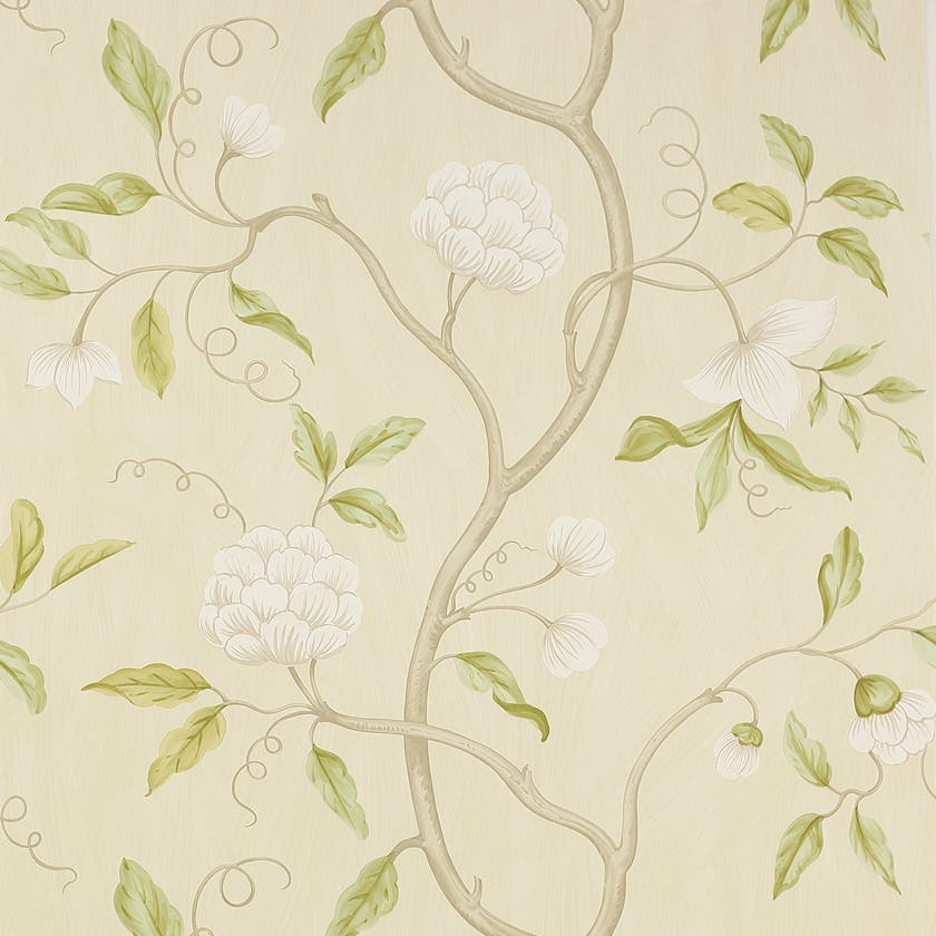 Colefax and Fowler - Snow Tree Ivory