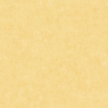 Caselio - Beton Uni Jaune Aurore Beton 2