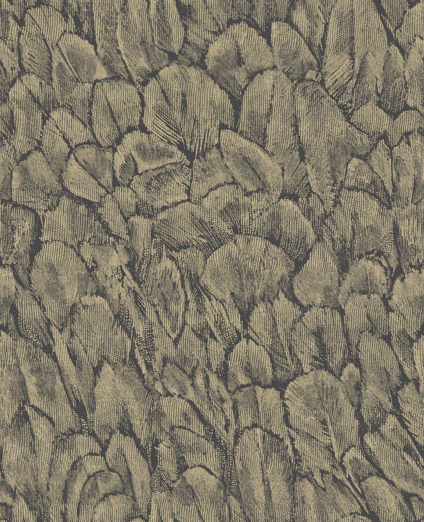 Carma - Tranquil Jet NW Aurora