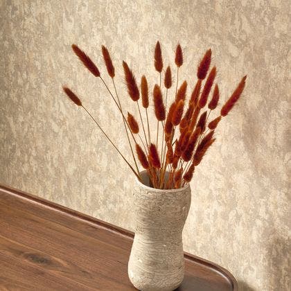 Casadeco - Mur Antique Beige Argile So Color 5