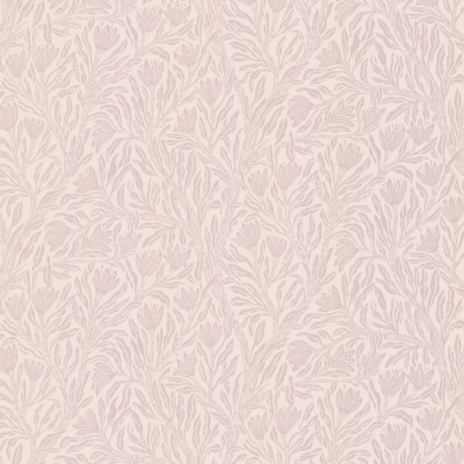 Krokus Northern Rose Norrviva