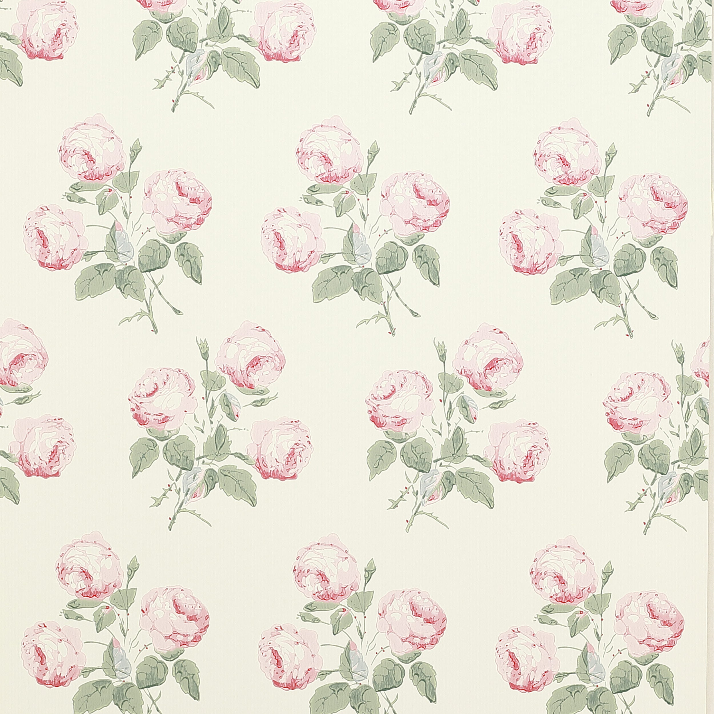Colefax and Fowler - Bowood Pink/Leaf