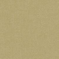 ECUME OLIVE SENTIER DES DUNES