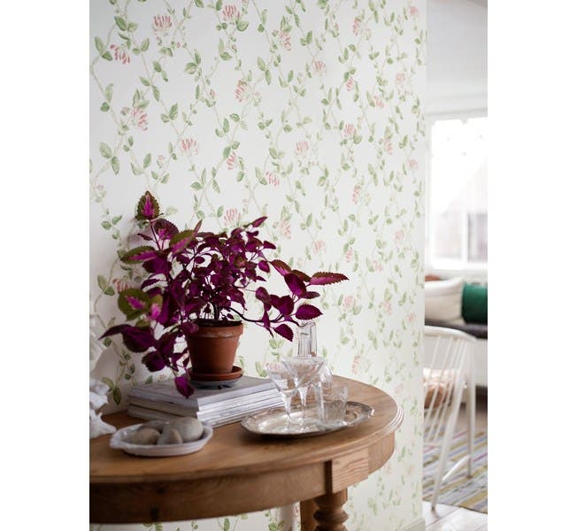 Honeysuckle - Marstrand II