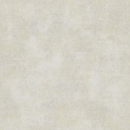 STONE GREGE SO COLOR 5
