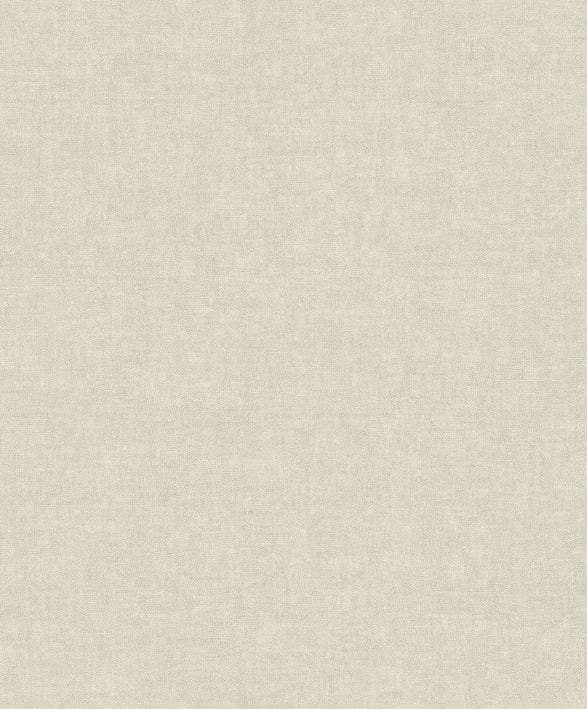 EMPREINTE GRIS PLUME SENTIER DES DUNES