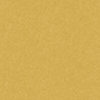 SO COLOR 4 UNI VERT MESTA SO COLOR 4