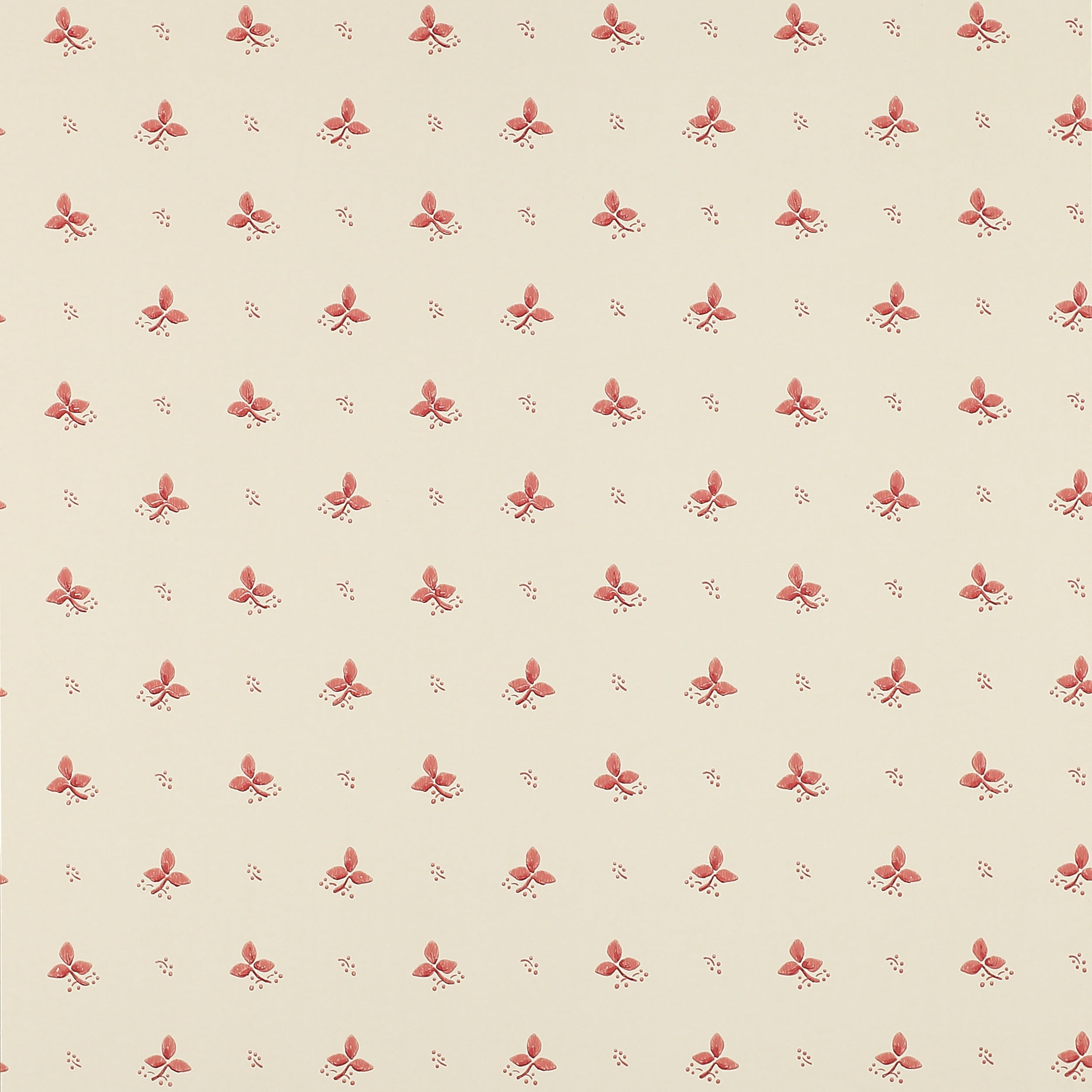 Colefax and Fowler - Ashling Pink