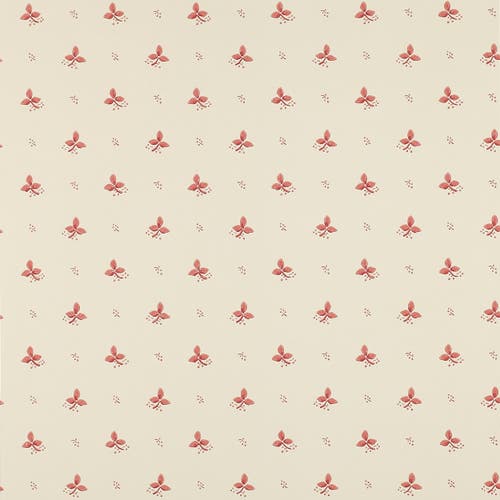 Colefax and Fowler - Ashling Pink