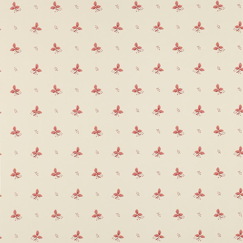 Colefax and Fowler - Ashling Pink