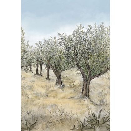 Casamance - Lauris Int Kaki/Ciel Panoramas 2