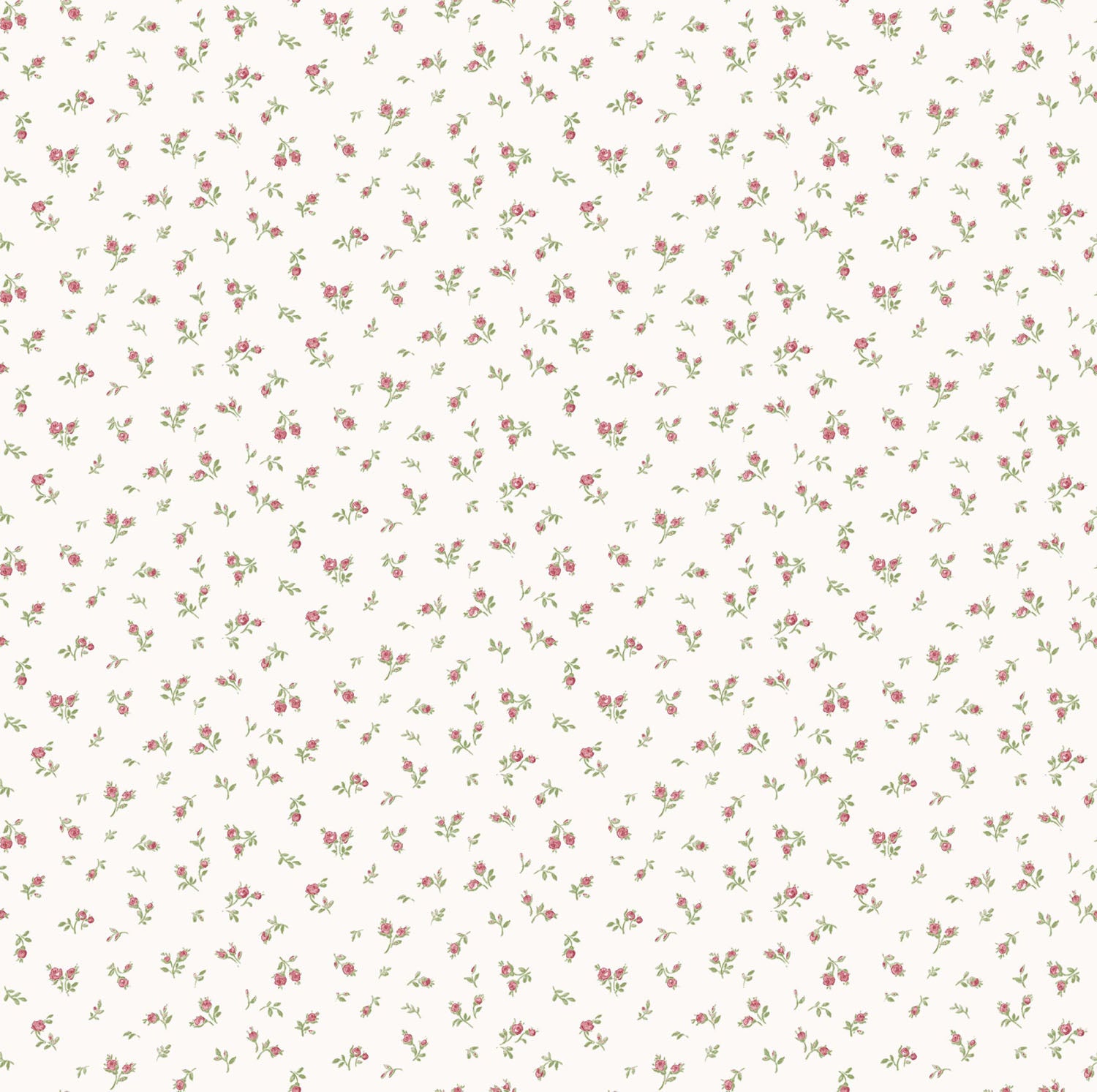 Carma - Blooming Garden