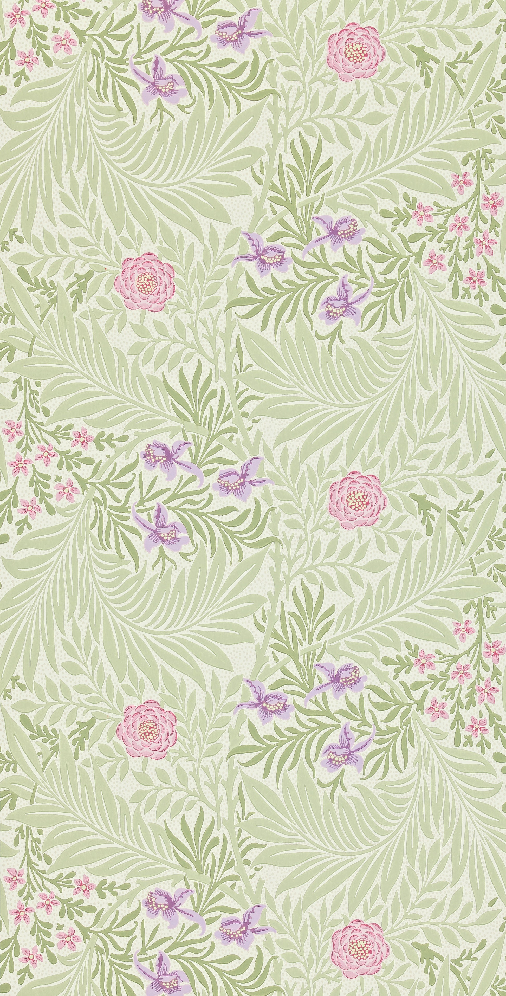 Morris & Co - Larkspur Olive/Lilac Archive II Wallpapers