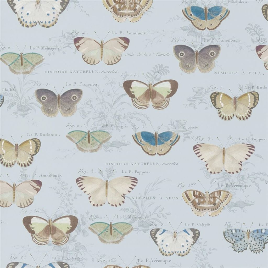 Butterfly Studies Picture Book Wallpapers I