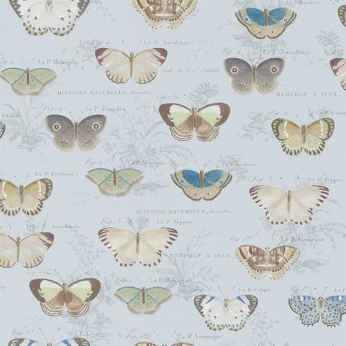 Butterfly Studies Picture Book Wallpapers I