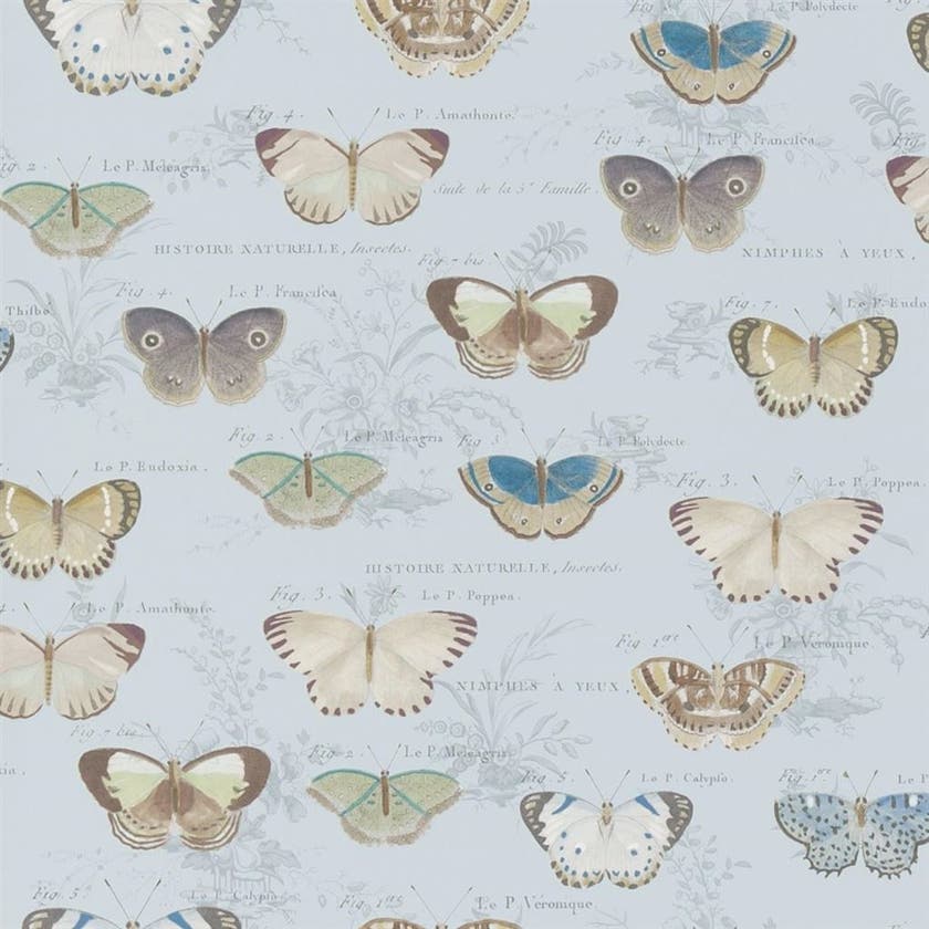 Butterfly Studies Picture Book Wallpapers I