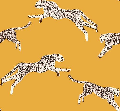 Jannelli & Volpi - Leaping Cheetah