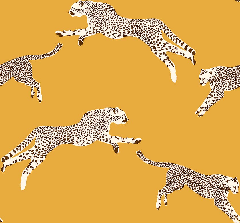 Jannelli & Volpi - Leaping Cheetah