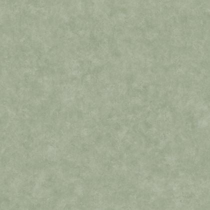 Caselio - Beton Uni Vert Eucalyptus Beton 2
