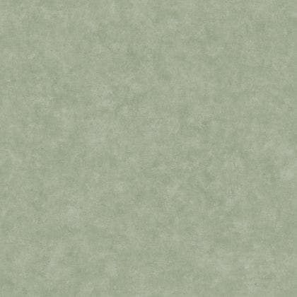 Caselio - Beton Uni Vert Eucalyptus Beton 2