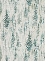 Juniper Pine Forest Elysian Wallpapers