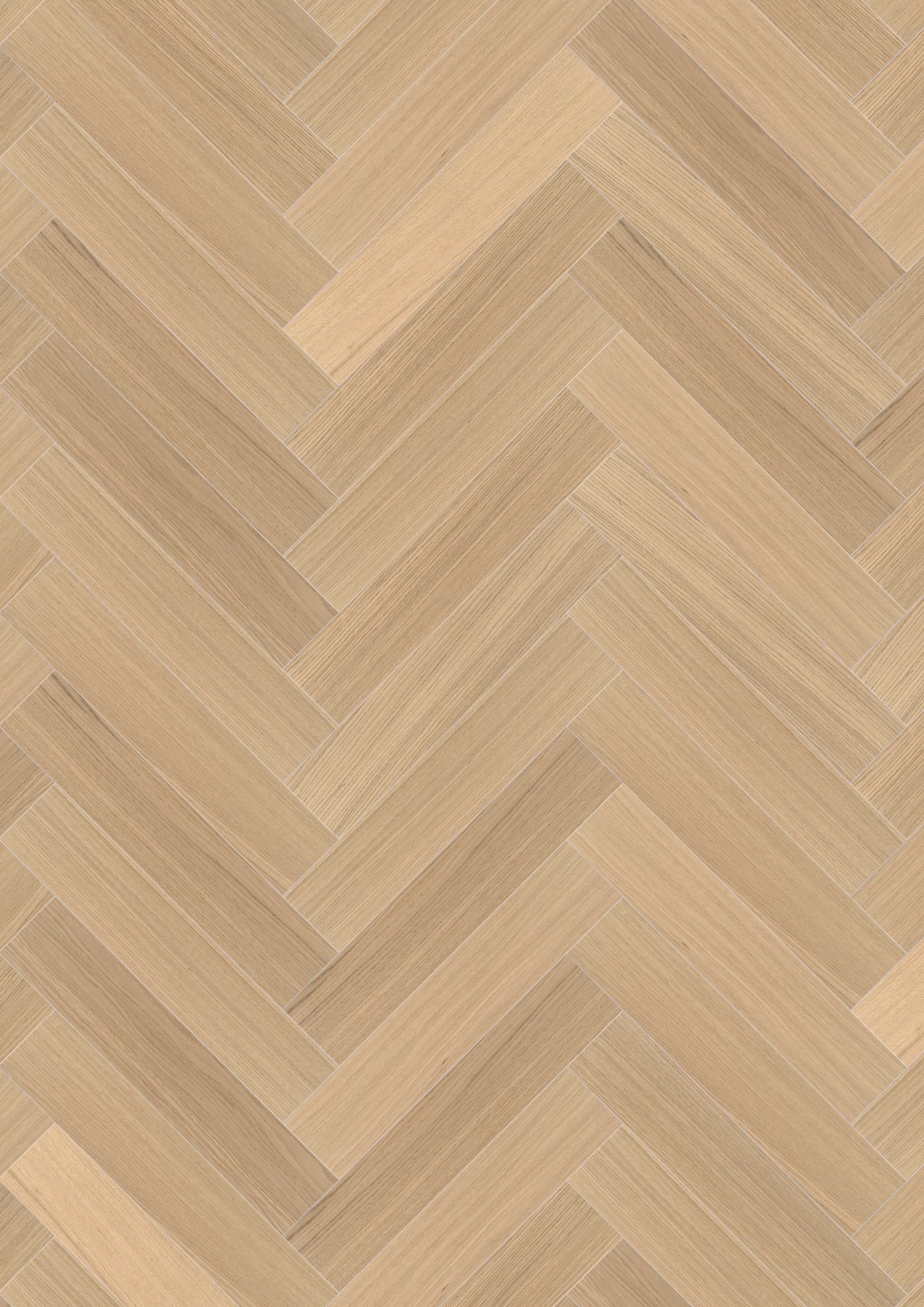 Maxwood Jazz - Ek Raw