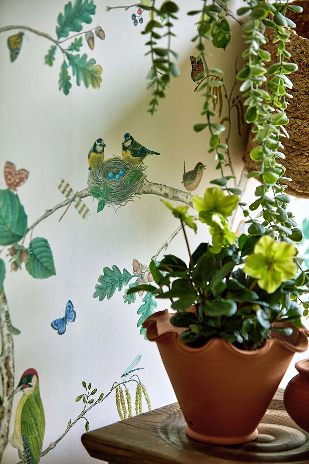 Sanderson - Woodland Chorus Botanical Arboretum Wallpapers