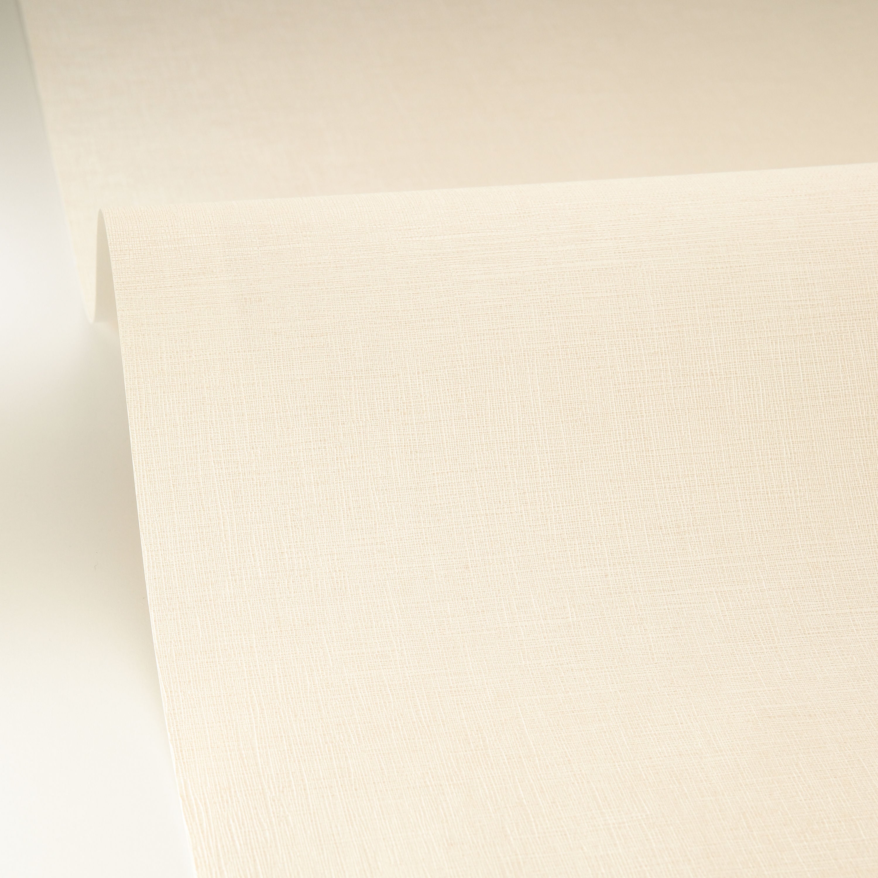 Caselio - Caselio - Uni Mat Coquille D Oeuf