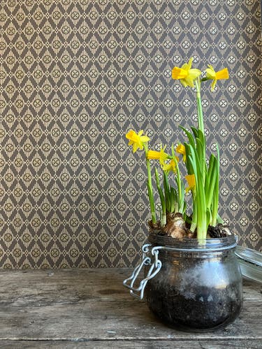 Decor Maison - Modern Classics II