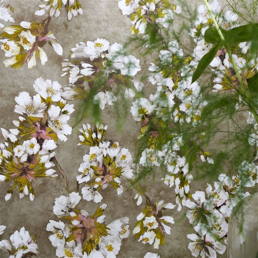 Designers Guild - Fleur D'Assam Porcelaine de Chine Wallp