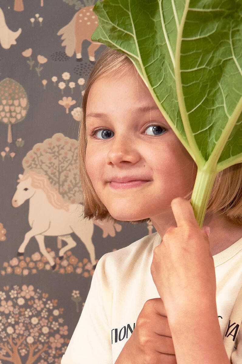 My sweet pony Vintage Journey