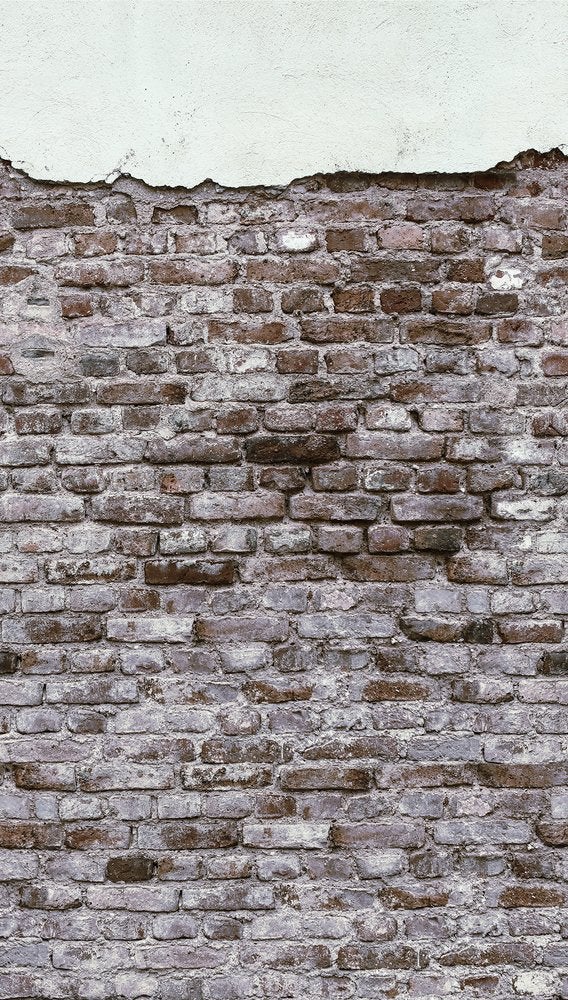 The Wall