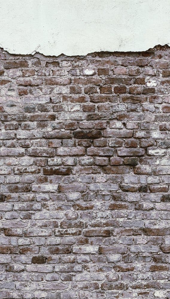 The Wall