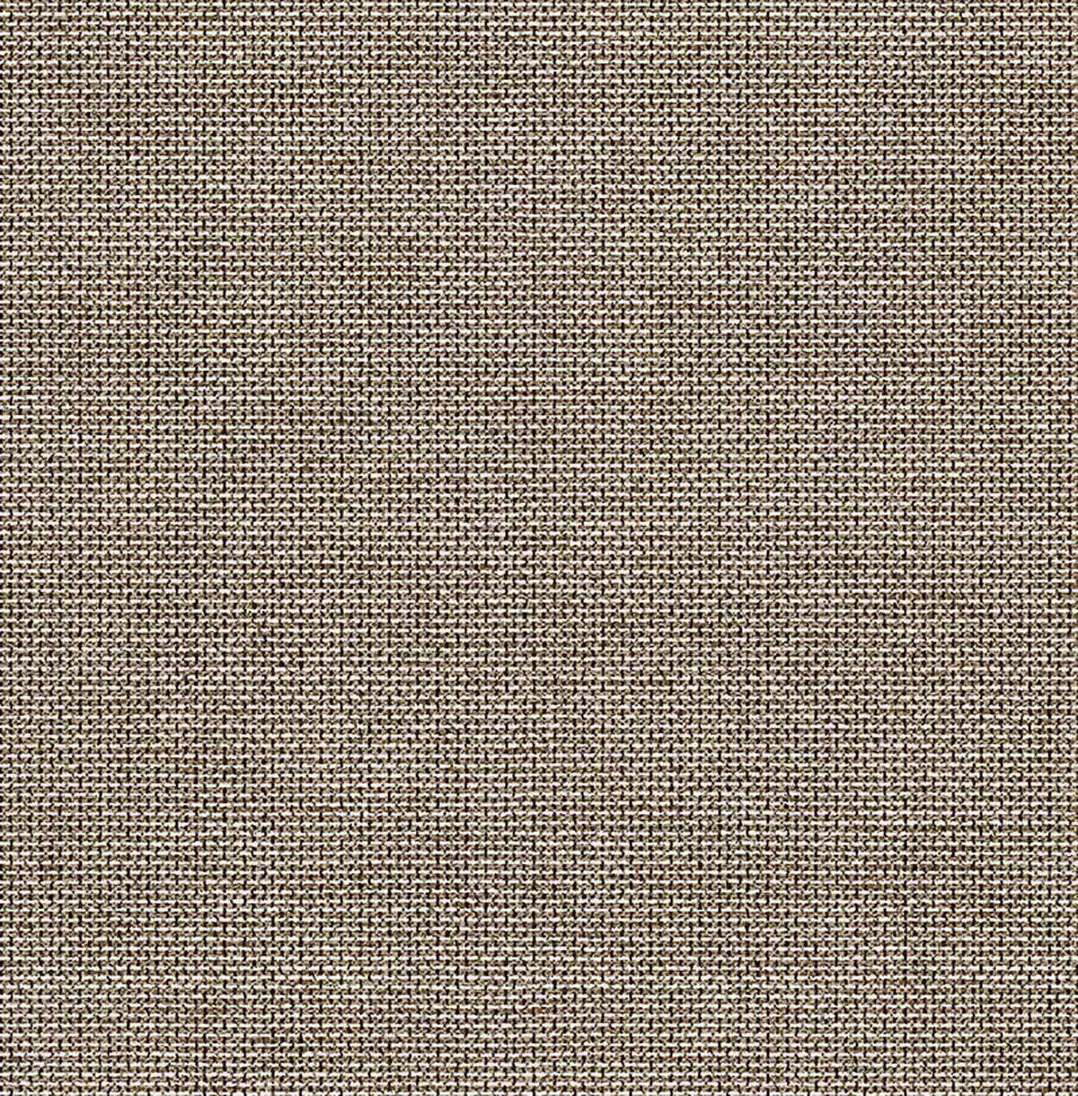 Carma - Sauvage 2
