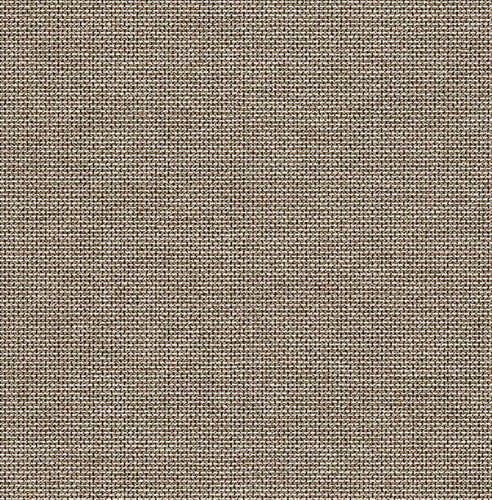 Carma - Sauvage 2