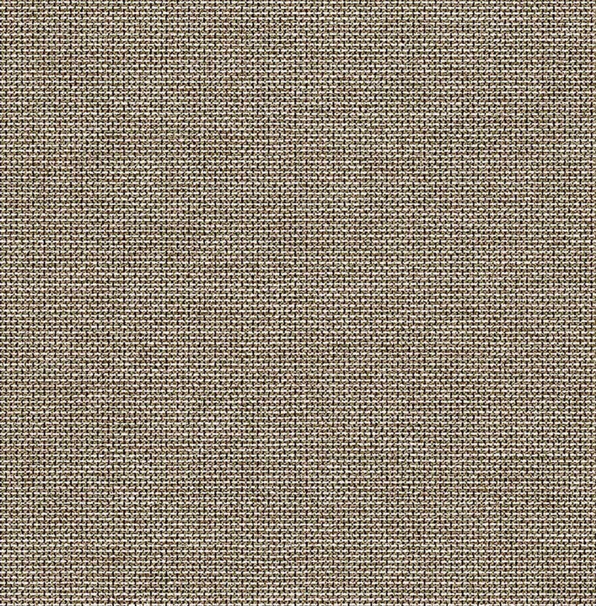 Carma - Sauvage 2