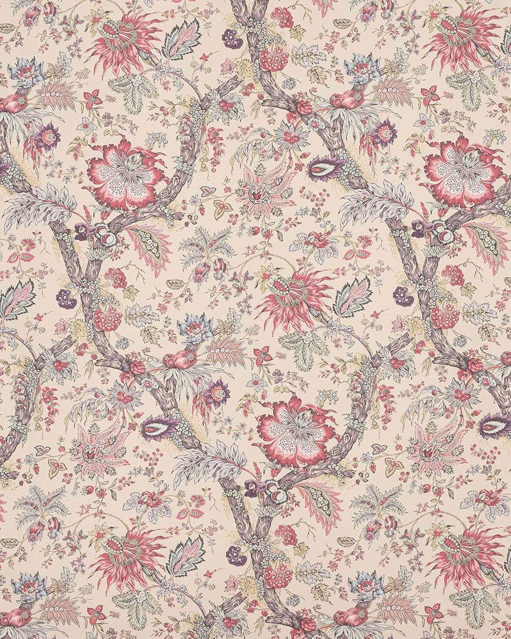 Manuel Canovas - Adelaide WC Violine