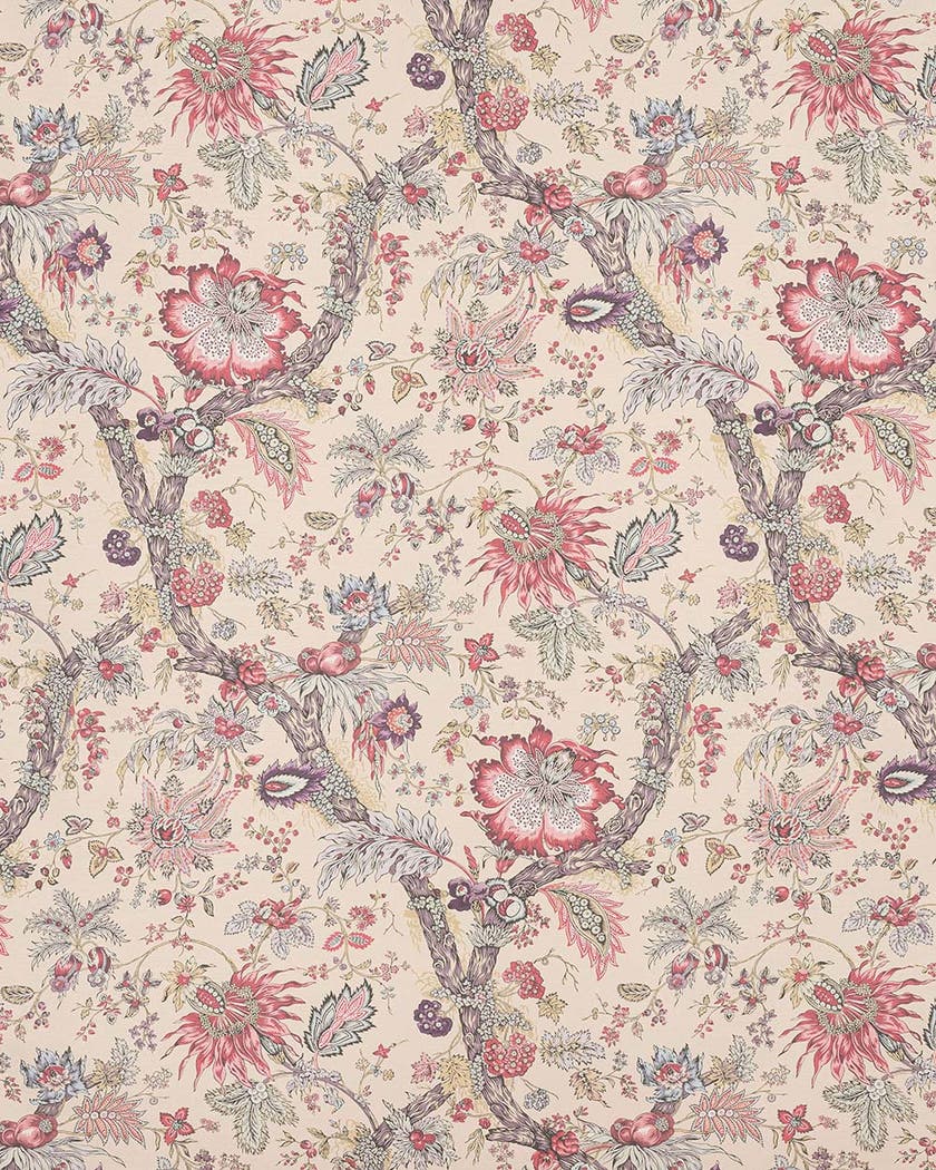 Manuel Canovas - Adelaide WC Violine