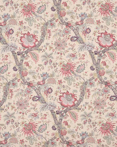 Manuel Canovas - Adelaide WC Violine